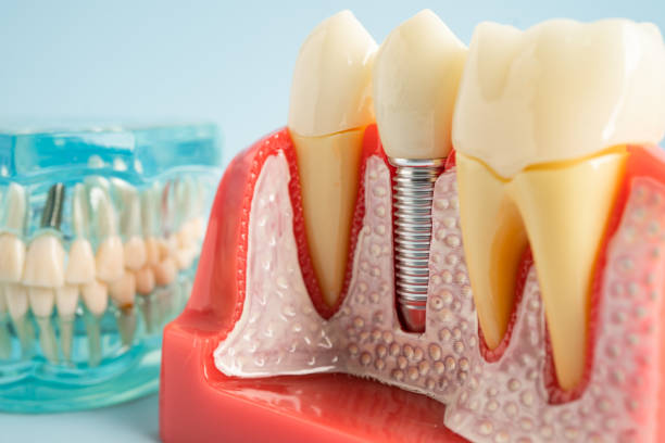 Best Preventive Dentistry  in Lake Bluff, IL